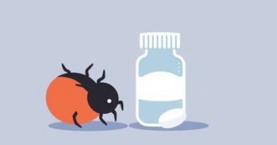 Oral Medication For Scabies