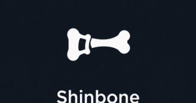 Other Name For Shinbone
