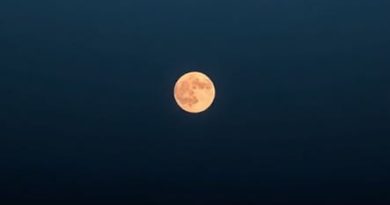 Pustak A Life Misspent Kiski Hai