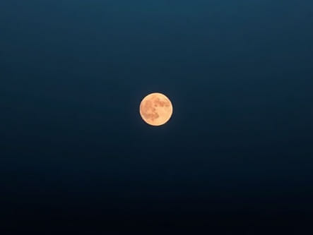 Pustak A Life Misspent Kiski Hai