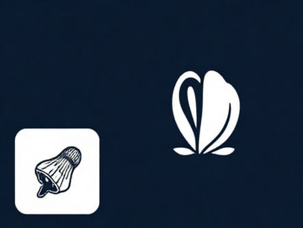 Quebec Vs The Mollusk