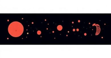 Sarcomas That Metastasize To Lymph Nodes