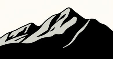 Some Examples Of Metamorphic Rocks