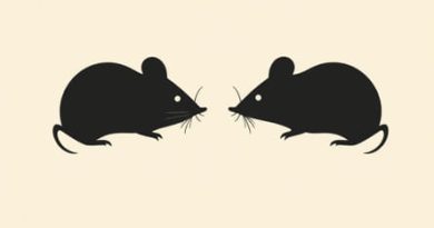 Sullenness Definition Of Mice And Men