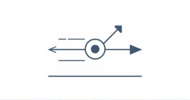 The Conservation Of Momentum