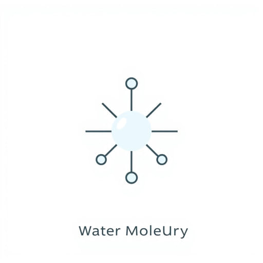 The Polarity Of A Water Molecule