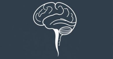 This Meninx Produces The Cerebrospinal Fluid