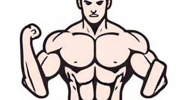 To Build Muscle How Much Protein