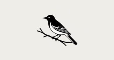 To Kill A Mockingbird Published