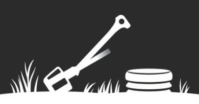 Unauthorized Use Of Implement Of Husbandry