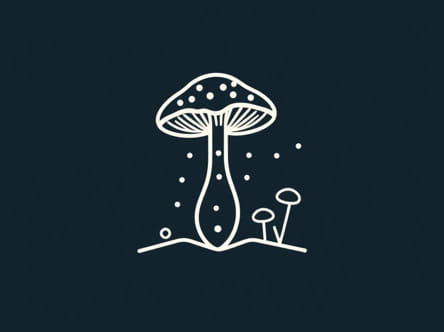 Use Of Bacillus Clausii Spores Suspension