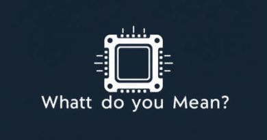 What Do You Mean By Multiprocessor?