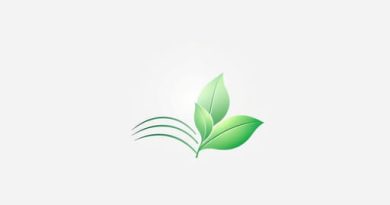 What Is Metrical Romance