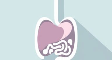 What Is Mild Hepatic Steatosis