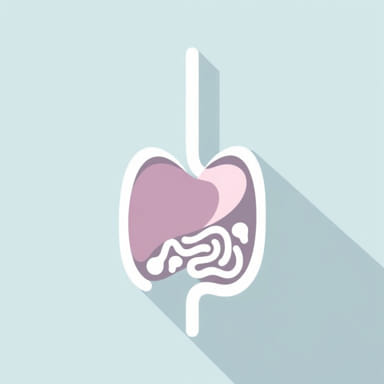 What Is Mild Hepatic Steatosis