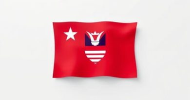 What Is The Flag Of Antigua And Barbuda