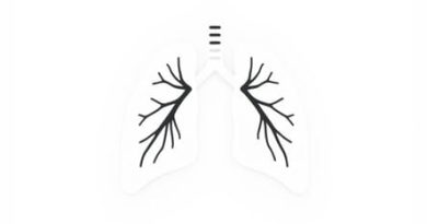 What Is The Medical Term For The Outer Layer Of The Pleura