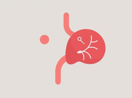 Where Does Liver Cancer Metastasize To