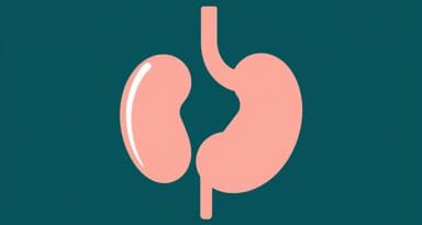 Which Medicine Is Best For Gallbladder Stone