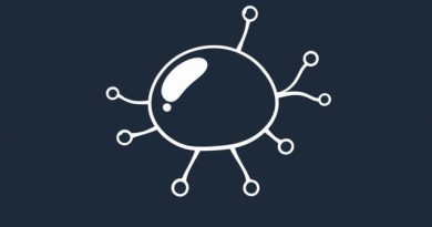 Why Globulin Is High