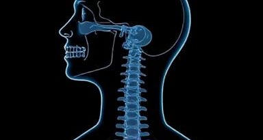 X Ray Neck Muscle Spasm
