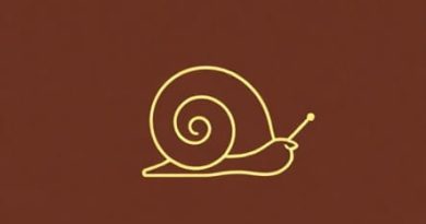 Xem Phim Memoir Of A Snail