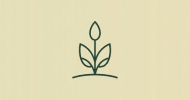 Your Most Fertile Days