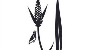 Yucca Plant And Moth