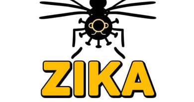 Zika Virus Microbe Notes