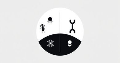 Zone Of Equivalence In Microbiology