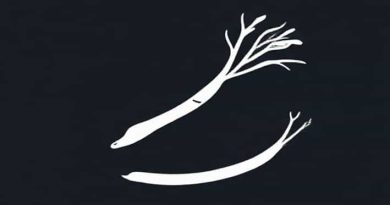 A Shopping Spree Meaning