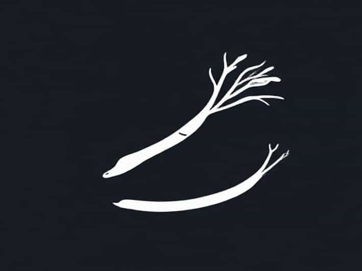 A Shopping Spree Meaning