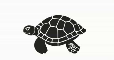 American Front Harry Turtledove