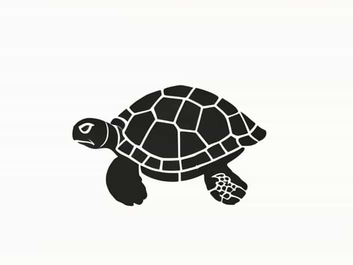 American Front Harry Turtledove