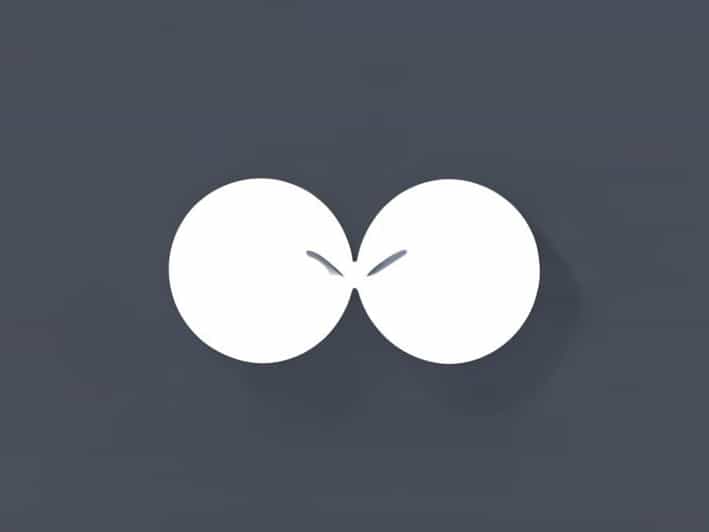 Another Word For Twinning