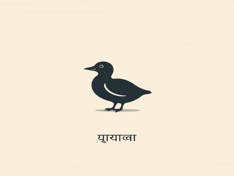 Bengali Meaning Of Quack