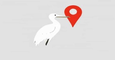 Best Spoonbill Location Rdr2