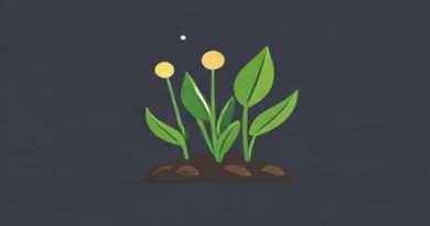 Best Spring Crop Stardew