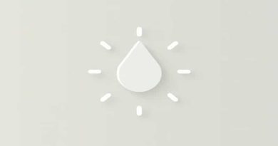 Bg3 No Hireling Option