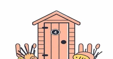 Big Lots Mummy Outhouse