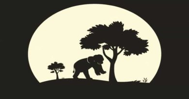 Billet Caa Kinshasa Kisangani