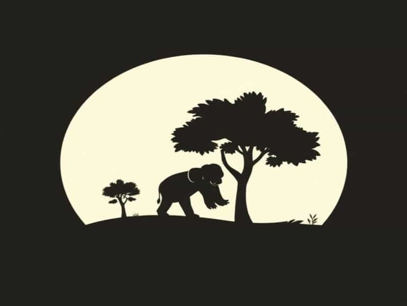 Billet Caa Kinshasa Kisangani