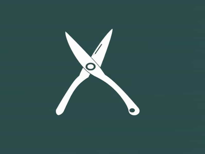 Can You Sharpen Secateurs