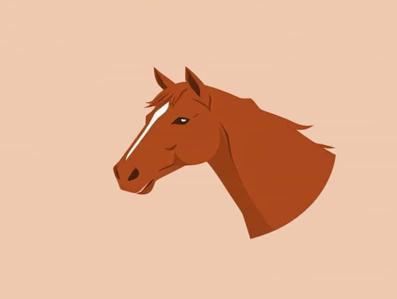 Chestnut On Horse'S Fetlock