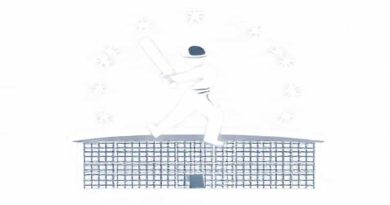 Cricket Academy Near Me