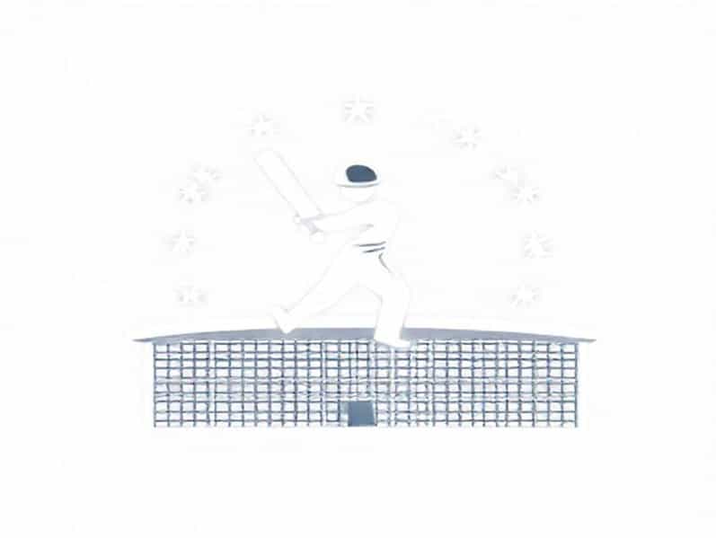 Cricket Academy Near Me