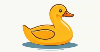 Diva Duck Amphibious Tours