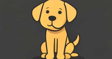 Dog Waiting Patiently Meme