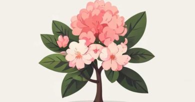 Dwarf Rhododendron For Sale