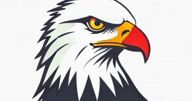 Eagle Mike Doohickey Canada
